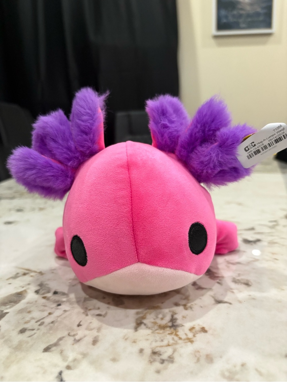 Pink & Purple Axolotl Plush Toy - Soft Pet Decor